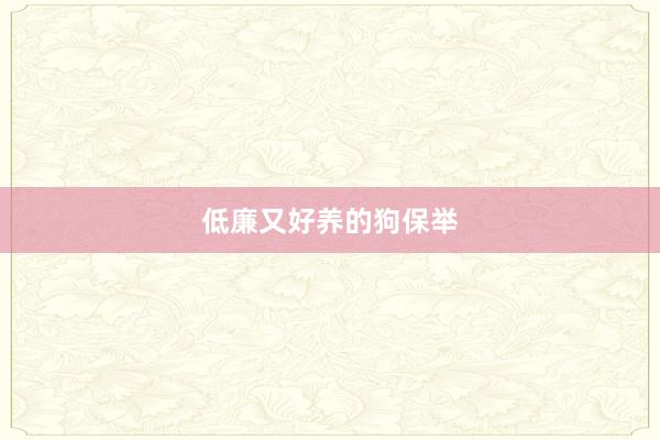 低廉又好养的狗保举